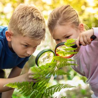 Poznáme víťazov školského kola Botanikiády
